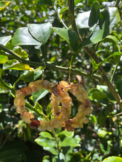 Bombucha ʻAʻaliʻi Hoop