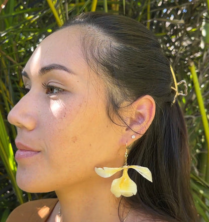 Awapuhi Melemele