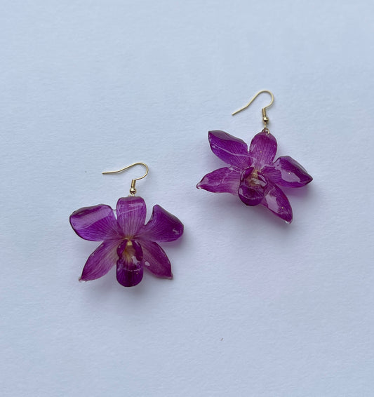 Purple Orchid
